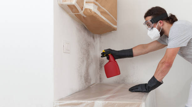 Professional Mold Removal technician working in Plainview, NY